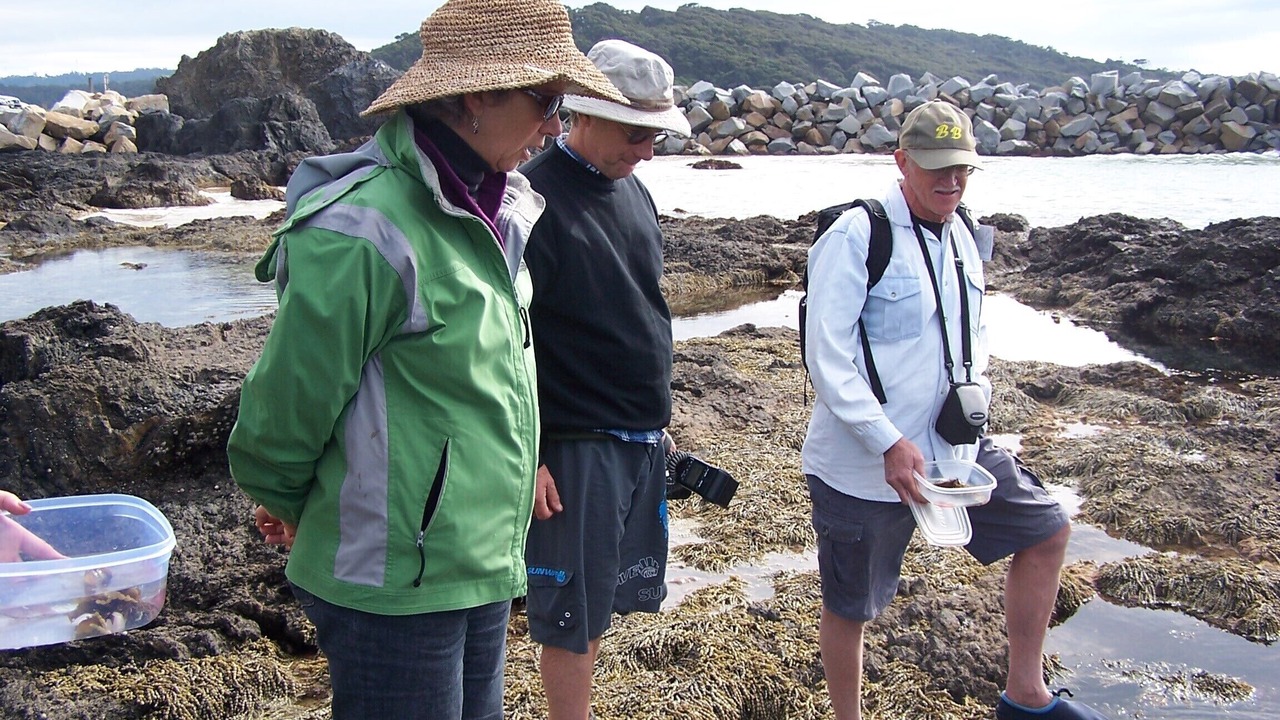 Photo of Others in Broulee