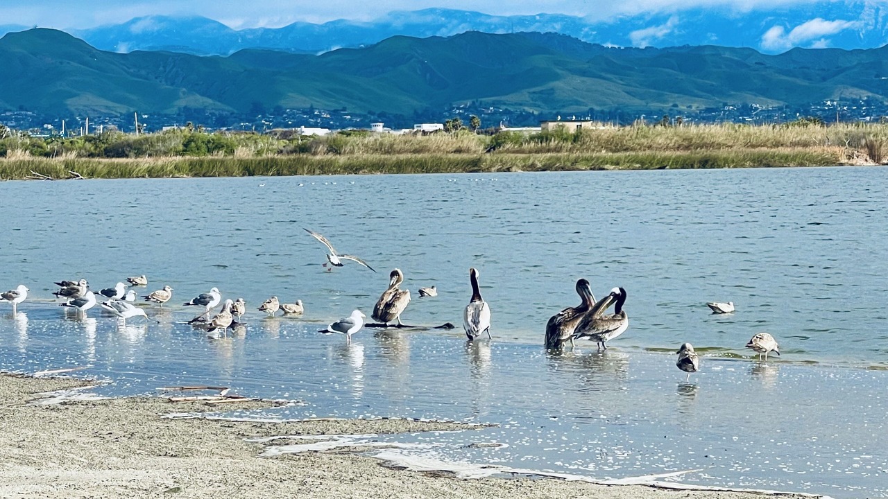 Photo of Others in Ventura