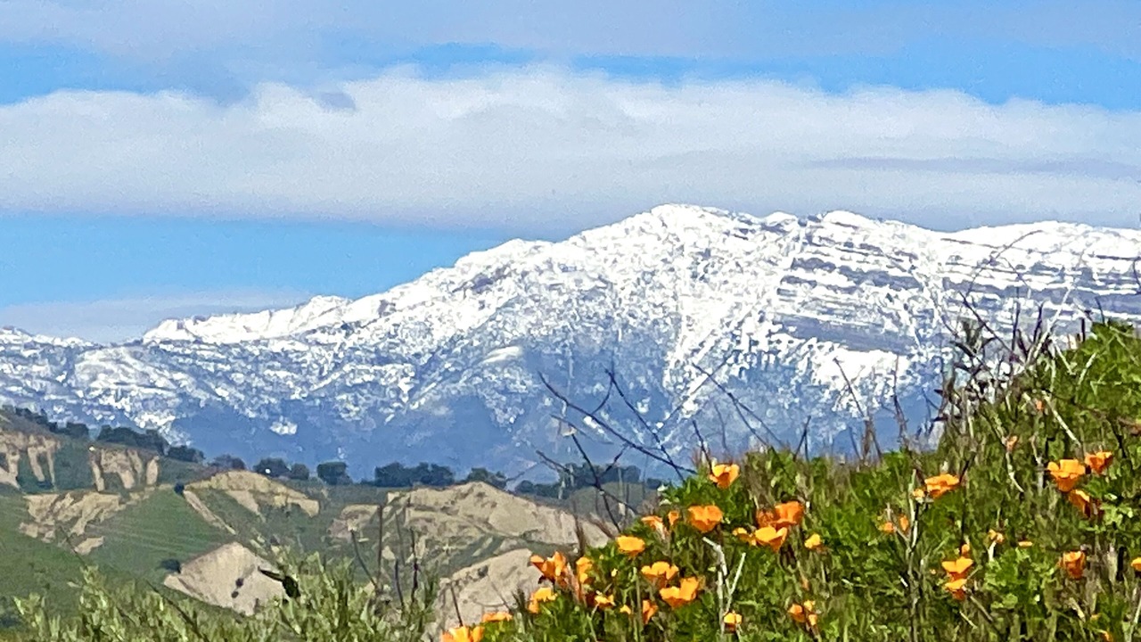 Photo of Outdoor in Ventura