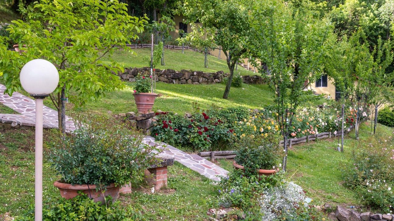 Photo of Outdoor in Gattaia