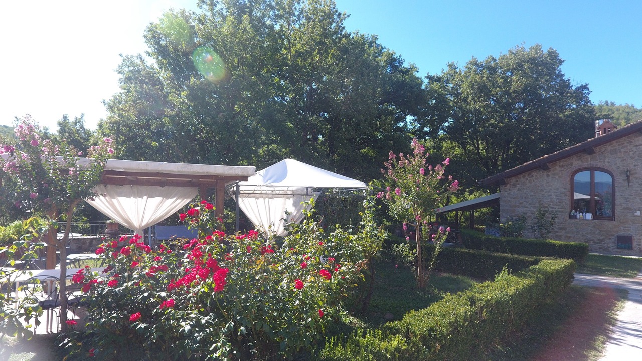 Photo of Outdoor in Barberino di Mugello