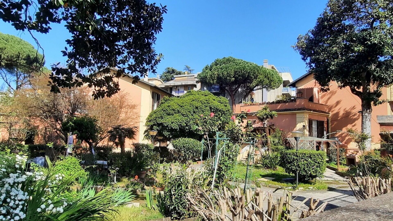 Photo of Outdoor in Monte Sacro