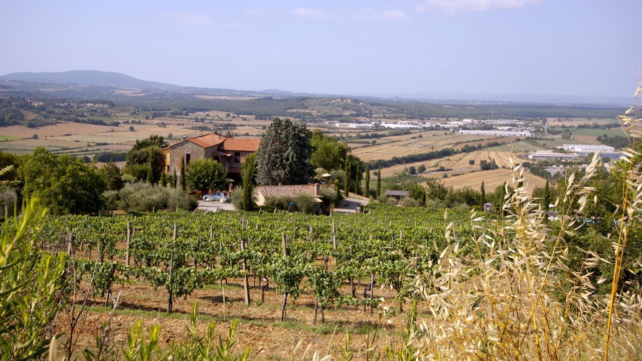 Photo of Outdoor in San Macario In Monte