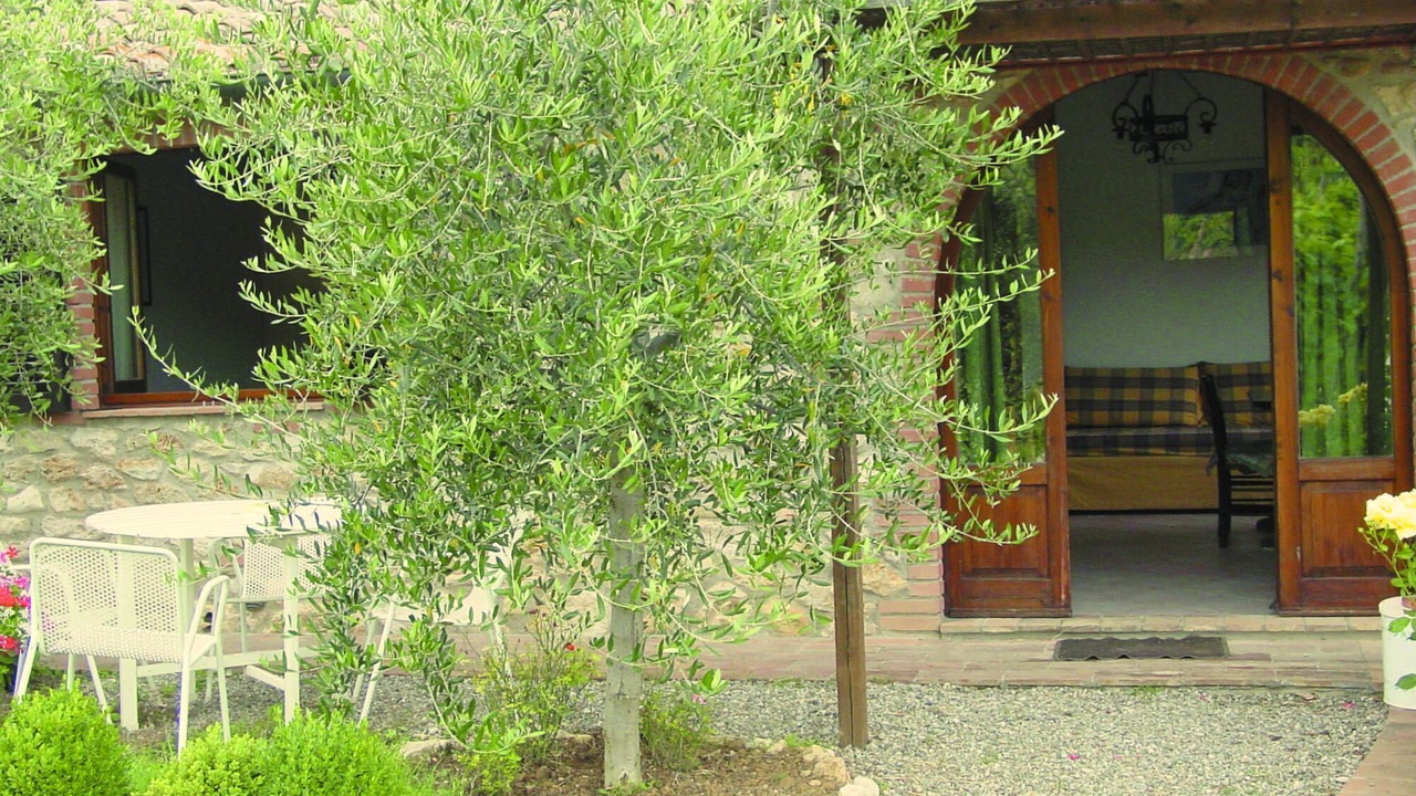 Photo of Outdoor in San Macario In Monte