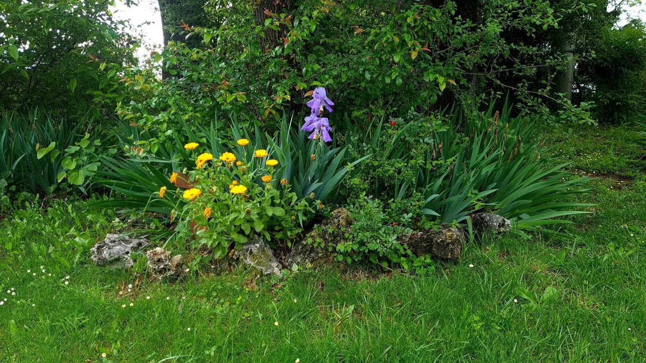 Photo of Outdoor in Albinea
