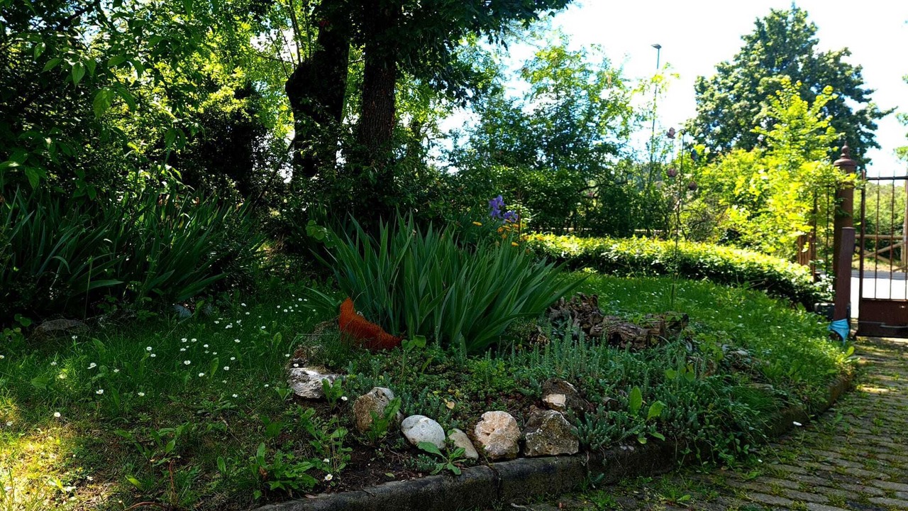 Photo of Outdoor in Albinea