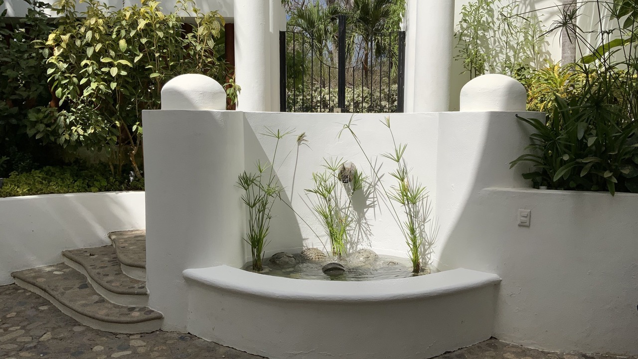 Photo of Outdoor in Punta de Mita