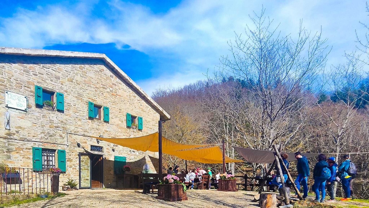 Photo of Outdoor in Subbiano