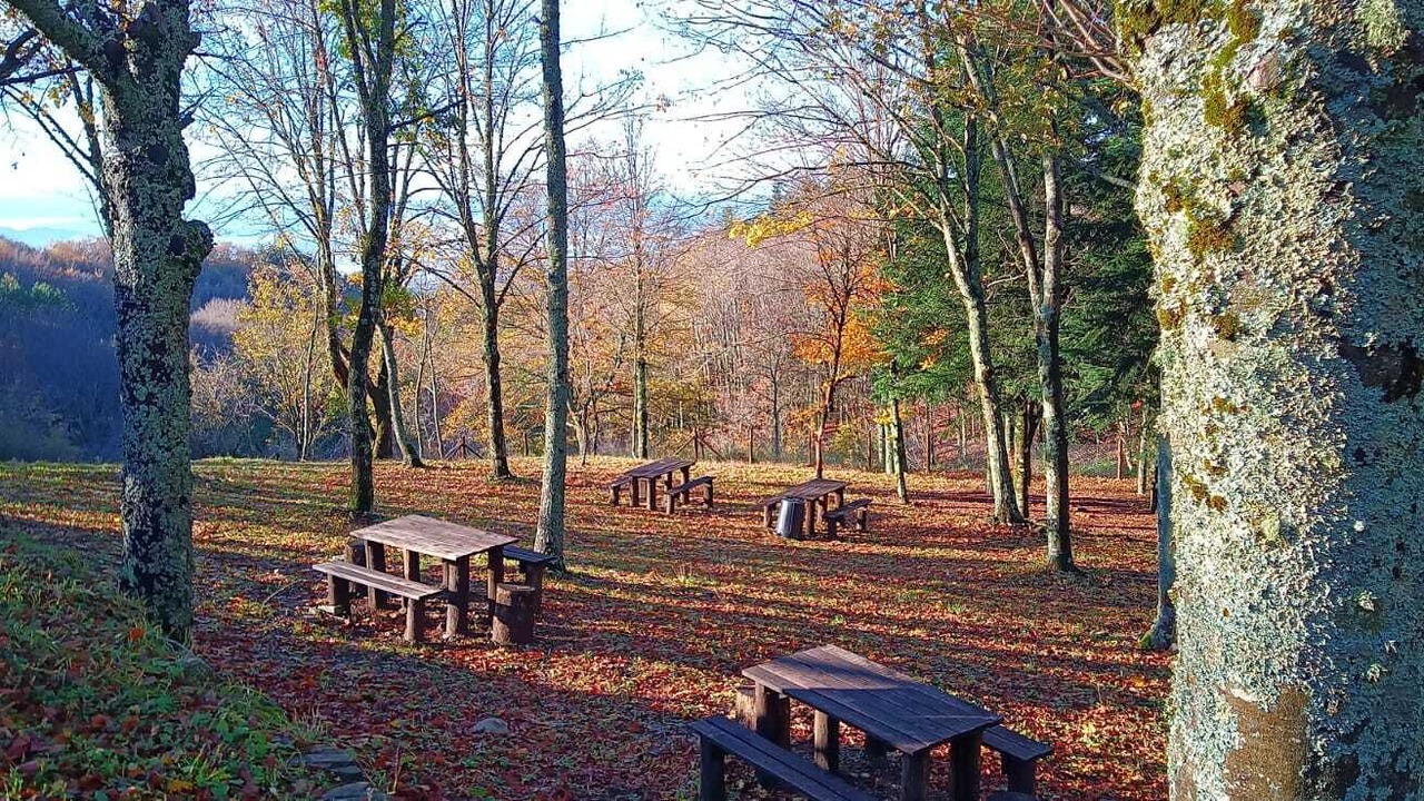 Photo of Outdoor in Subbiano