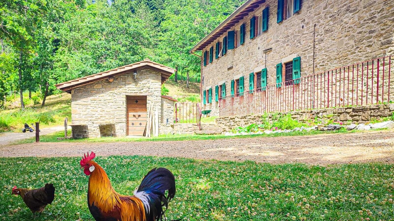 Photo of Outdoor in Subbiano