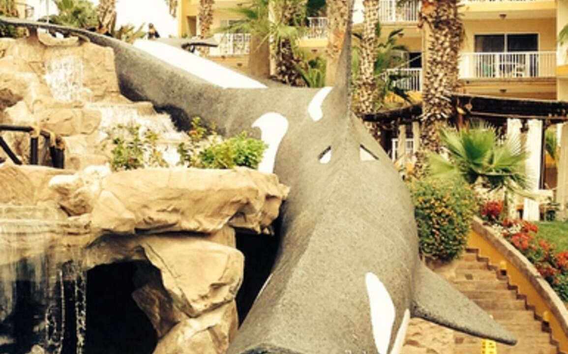 Photo of Outdoor in Cabo San Lucas