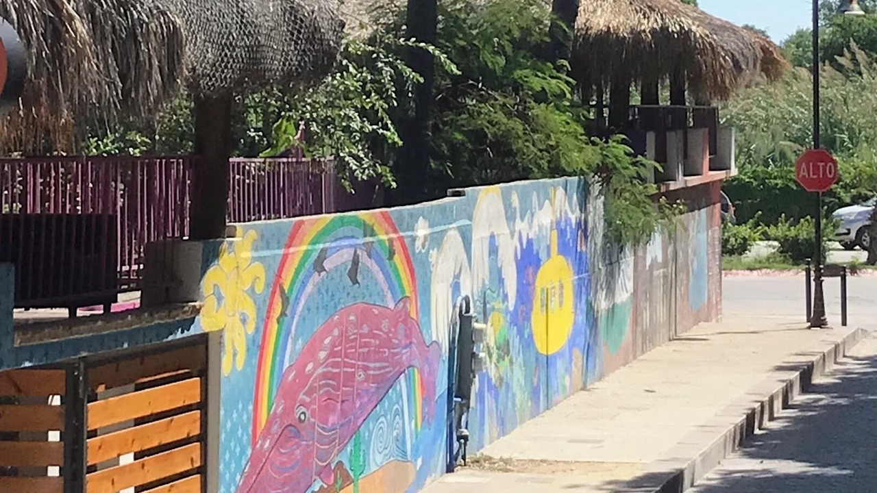 Photo of Others in San Jose del Cabo
