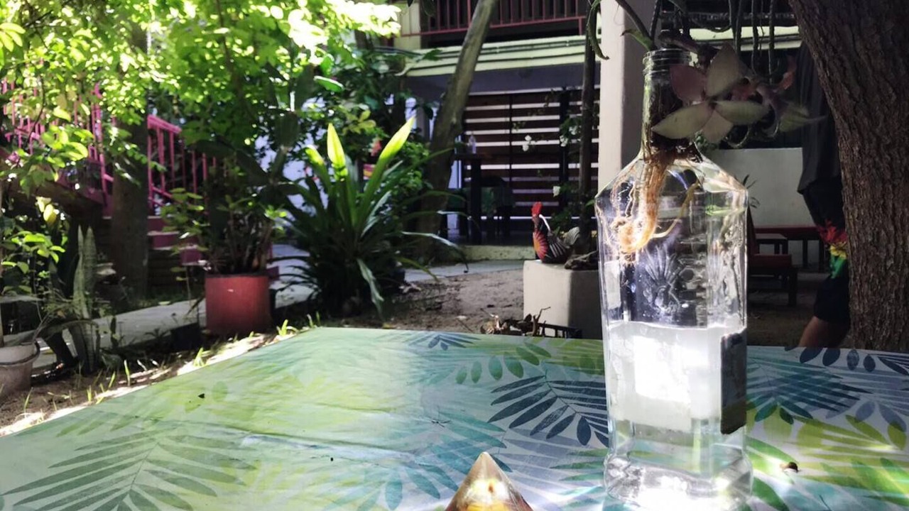 Photo of Outdoor in San Jose del Cabo