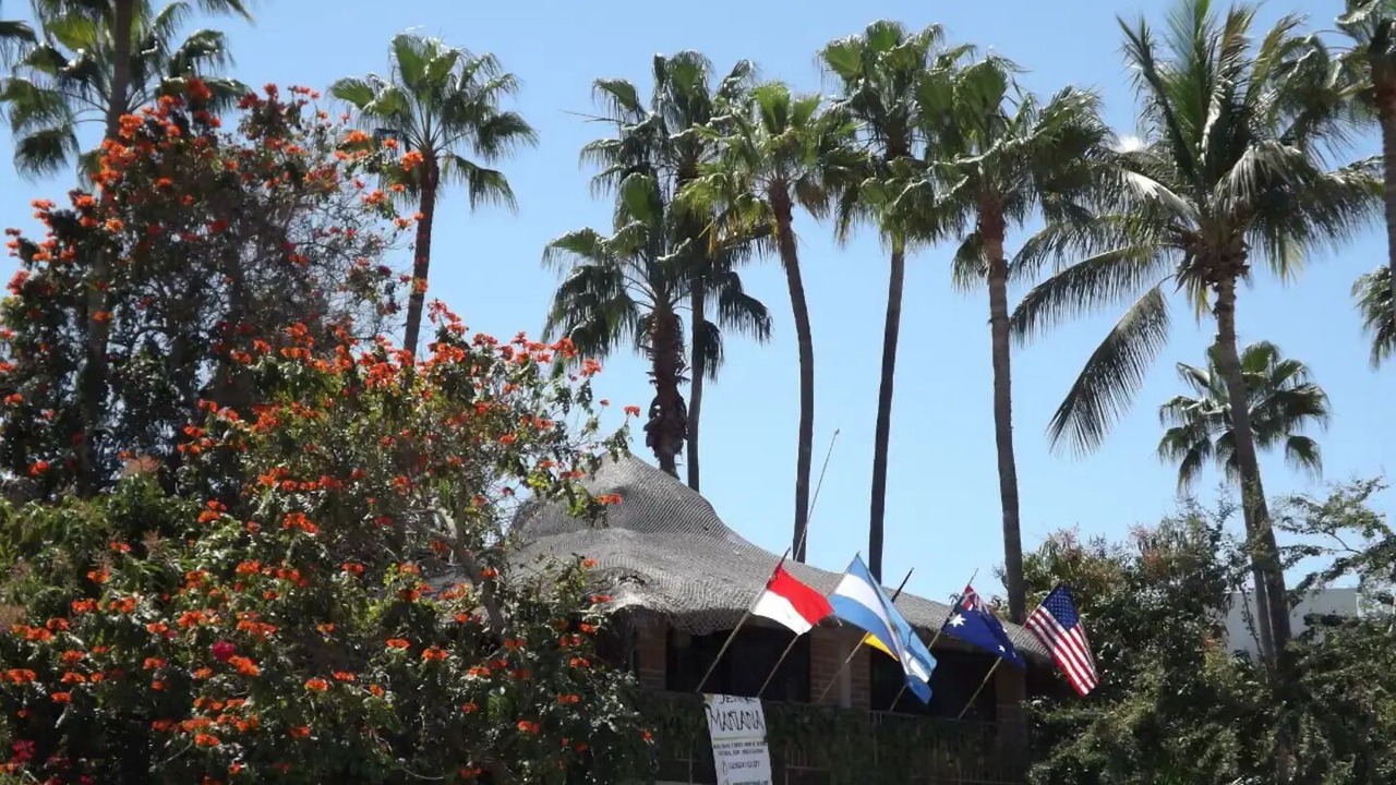 Photo of Outdoor in Santa Rosa
