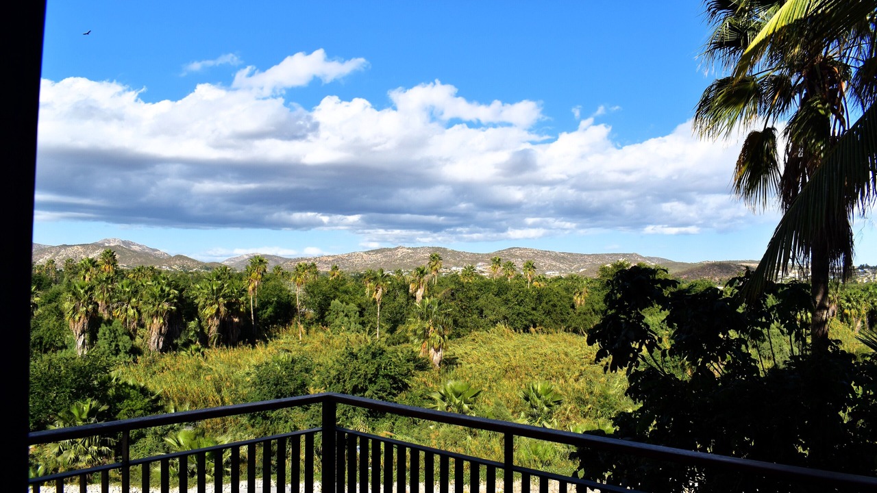 Photo of Outdoor in Downtown San Jose del Cabo