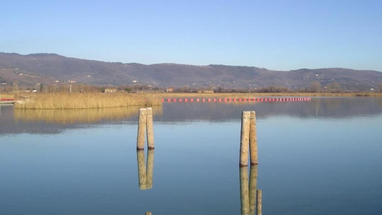 Photo of Others in Tuoro sul Trasimeno