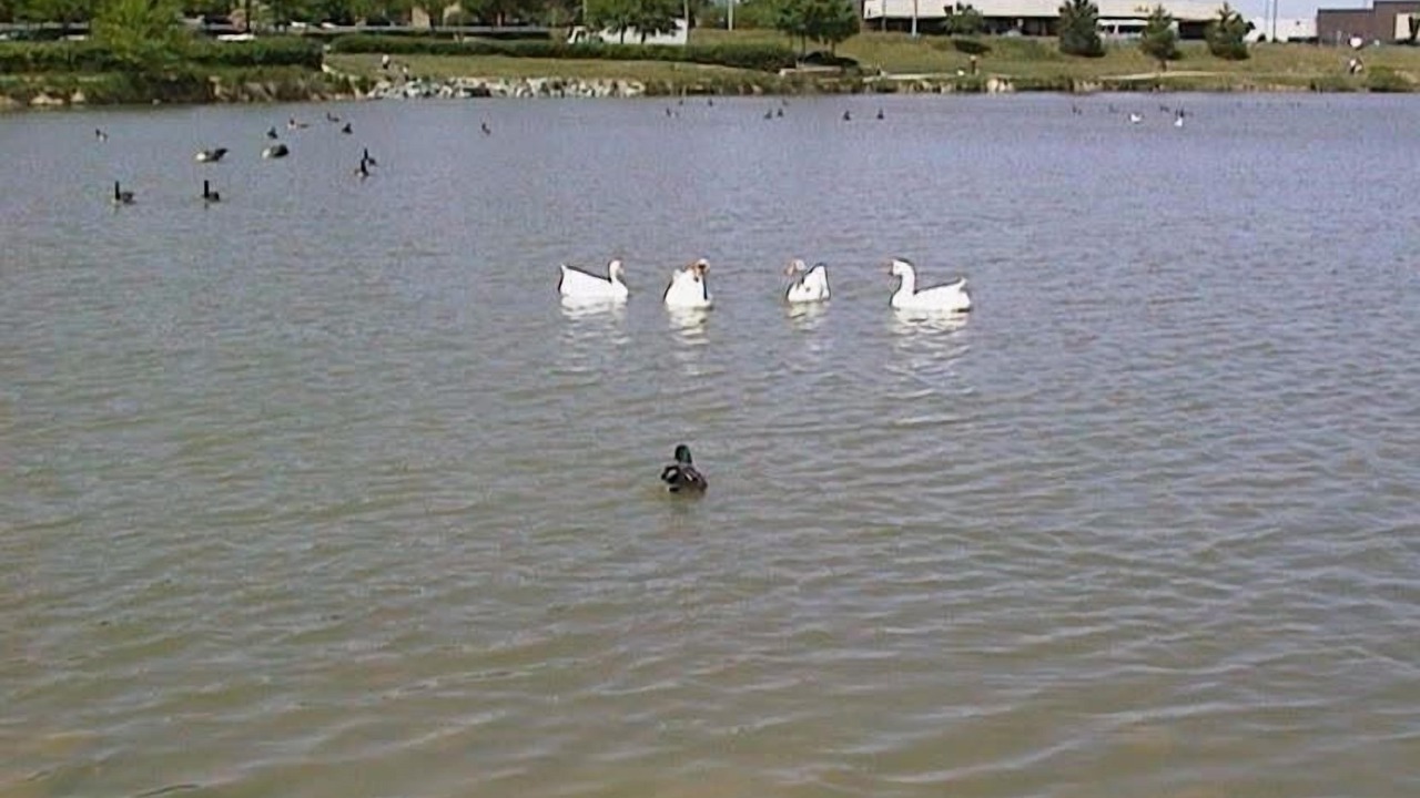 Photo of Others in Laurel