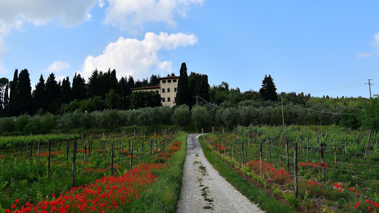 Photo of Others in Rignano sull'Arno