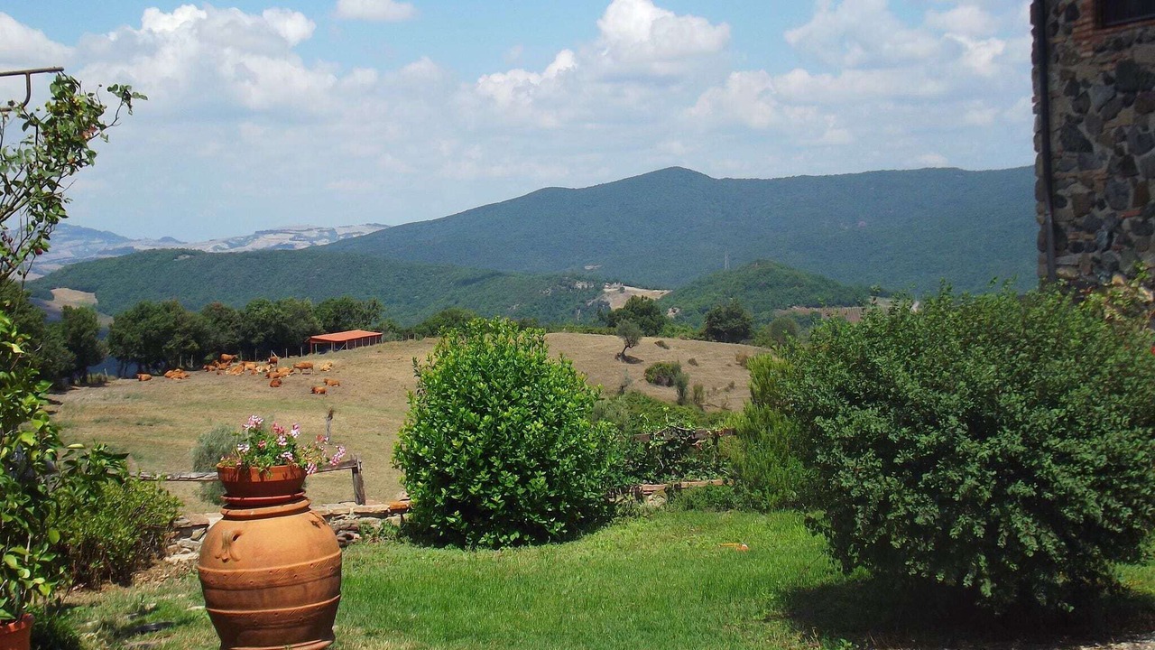 Photo of Outdoor in Montecastelli