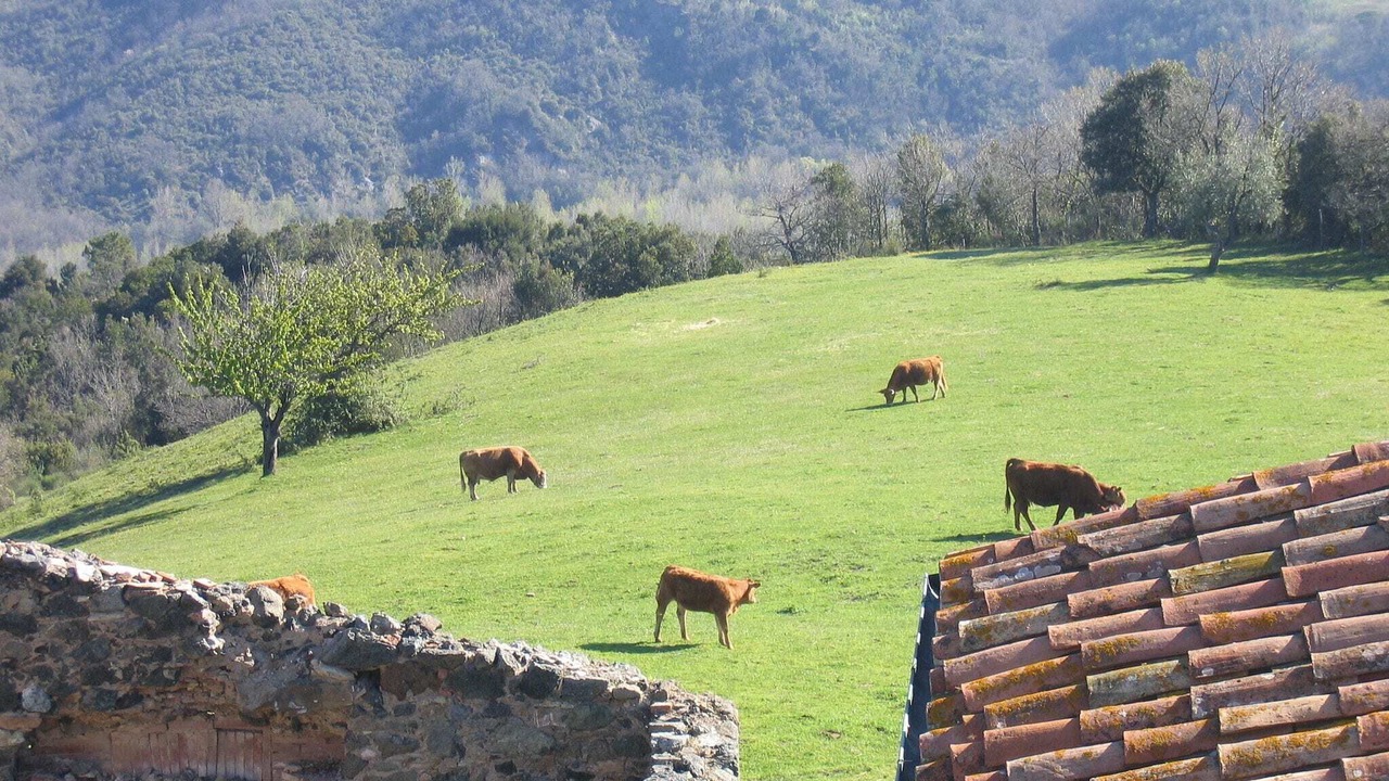 Photo of Others in Montecastelli