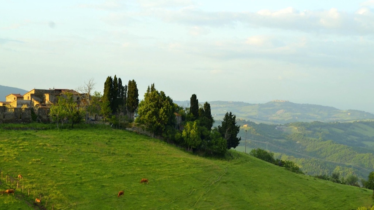 Photo of Others in Montecastelli