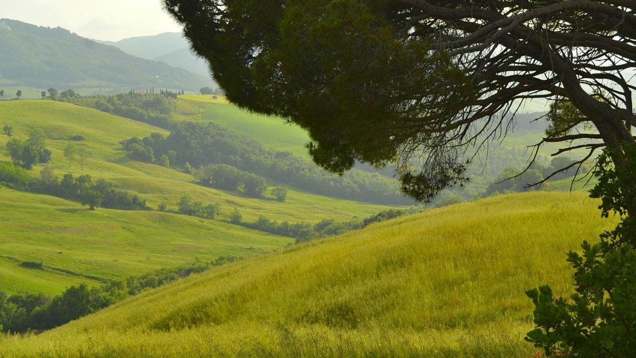 Photo of Others in Montecastelli