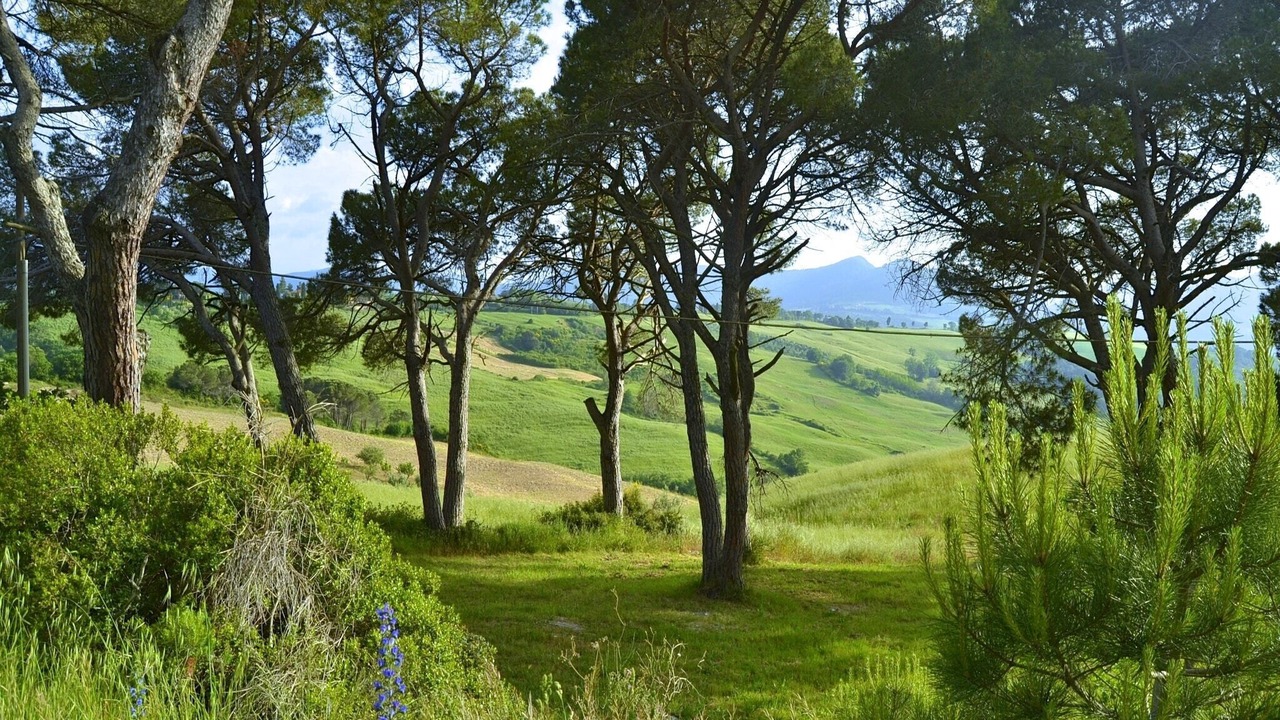 Photo of Others in Montecastelli