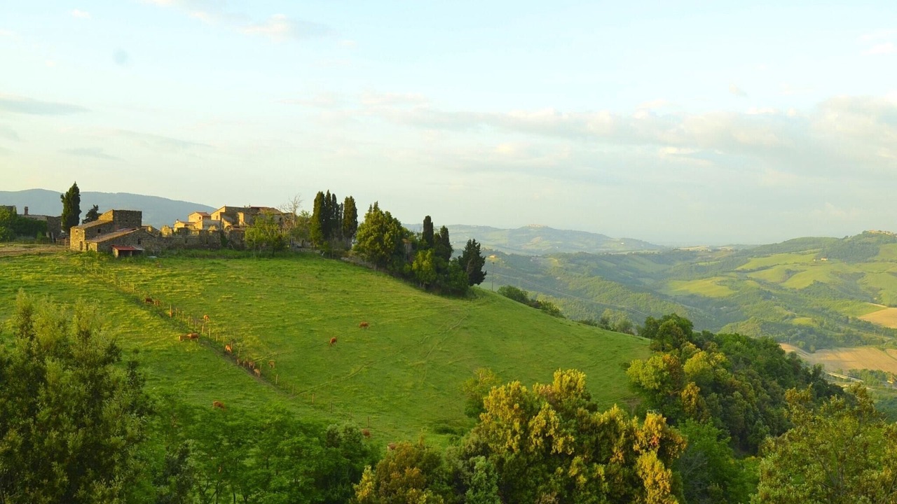 Photo of Others in Montecastelli