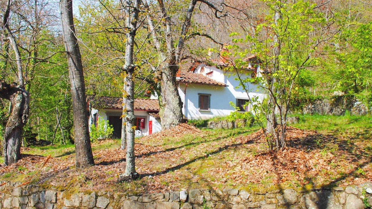 Photo of Outdoor in San Marcello Piteglio