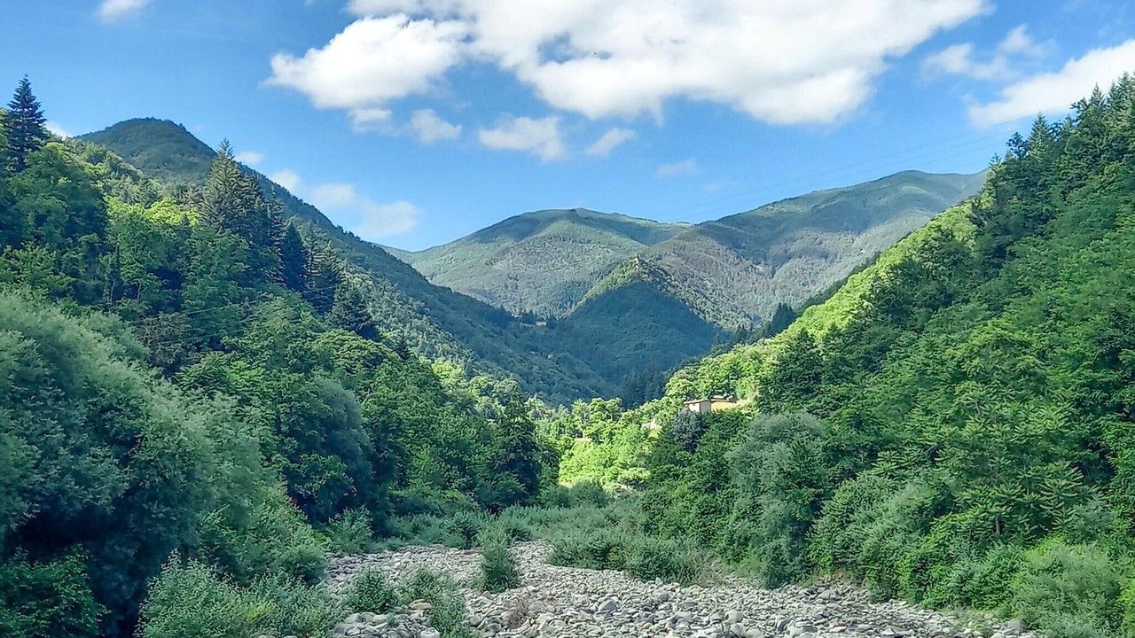 Photo of Others in Barga