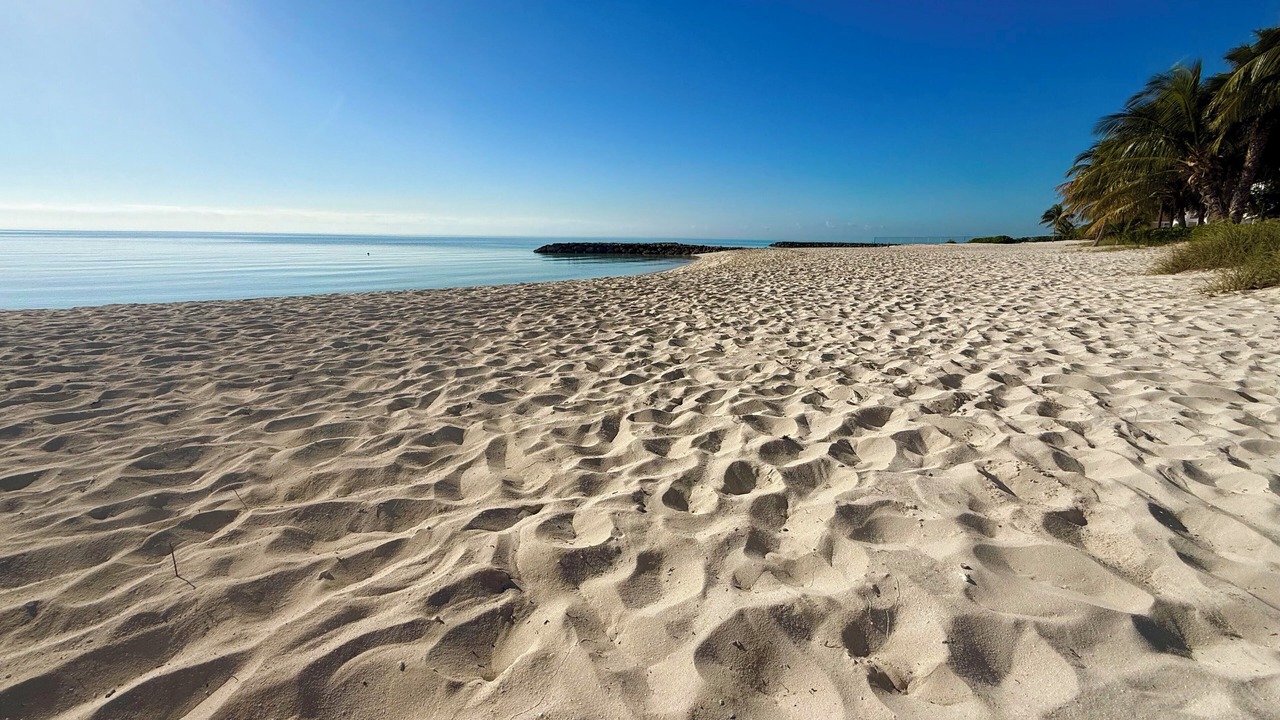 Photo of Others in Palm Cay