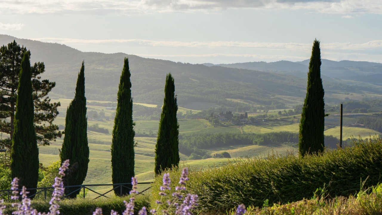 Photo of Outdoor in Casole d'Elsa