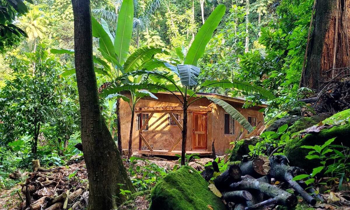 Photo of Outdoor in Mammee Bay