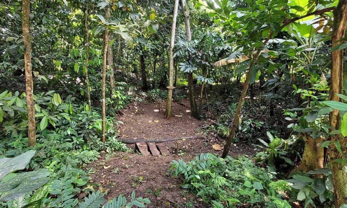 Photo of Outdoor in Mammee Bay