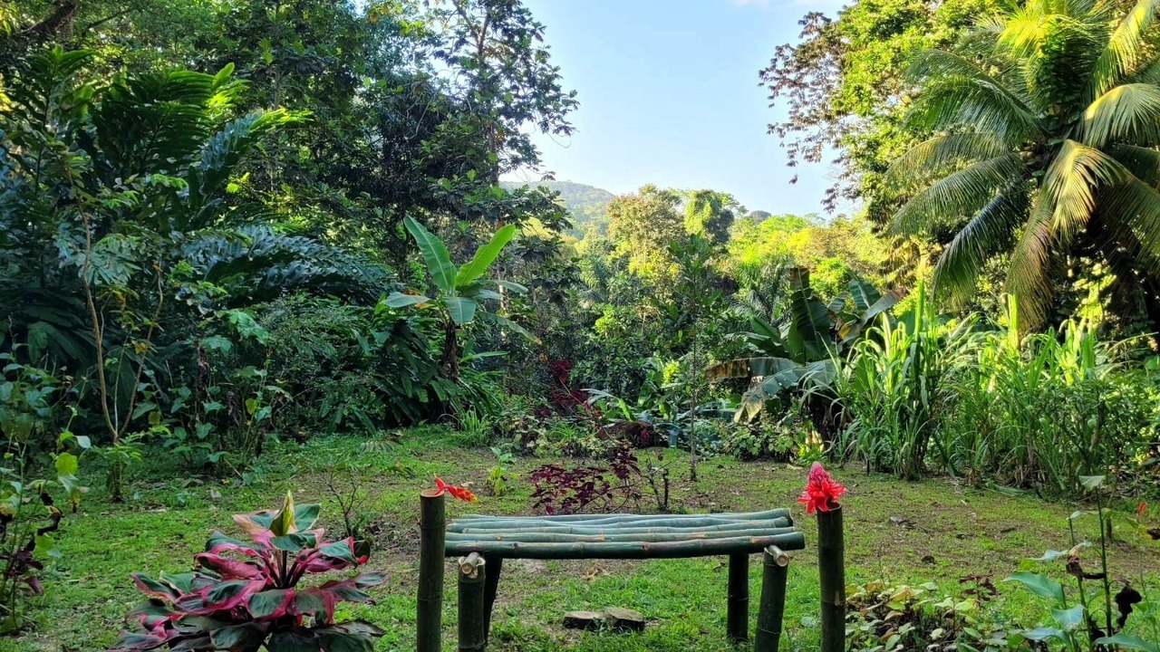 Photo of Outdoor in Mammee Bay