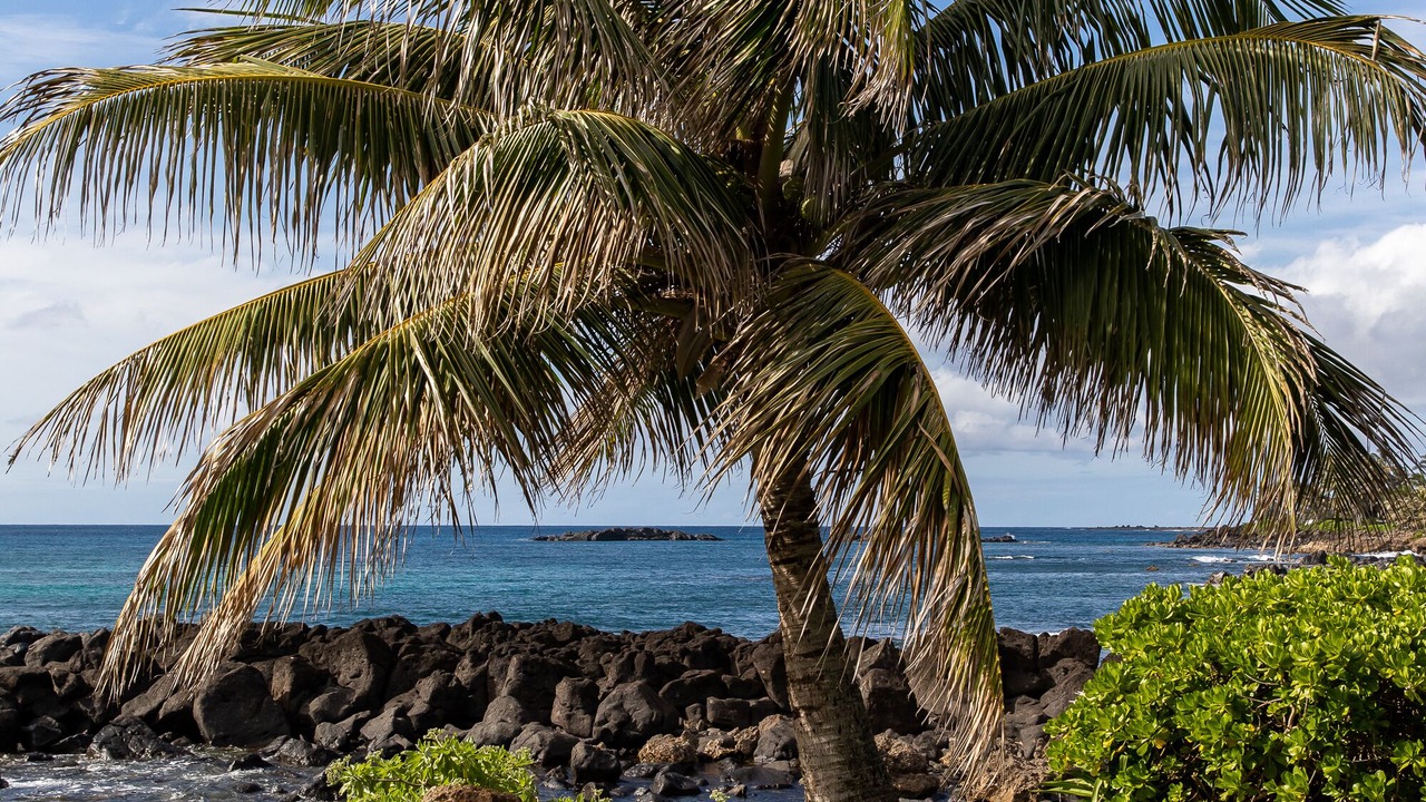 Photo of Outdoor in Waialee