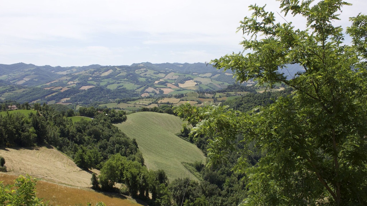 Photo of Others in Casalfiumanese