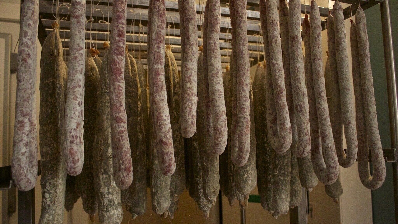 Photo of Others in Casalfiumanese