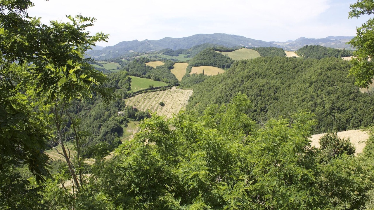 Photo of Others in Casalfiumanese