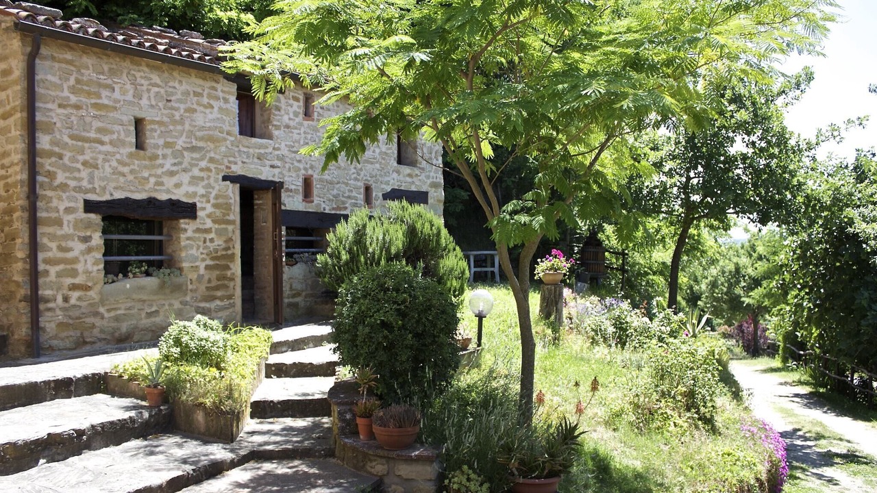 Photo of Others in Casalfiumanese