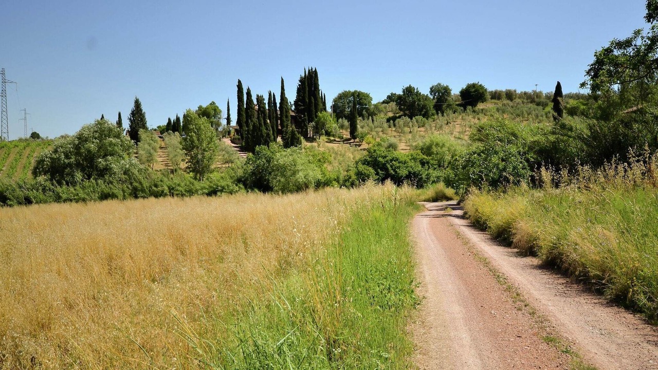 Photo of Others in Montecastelli