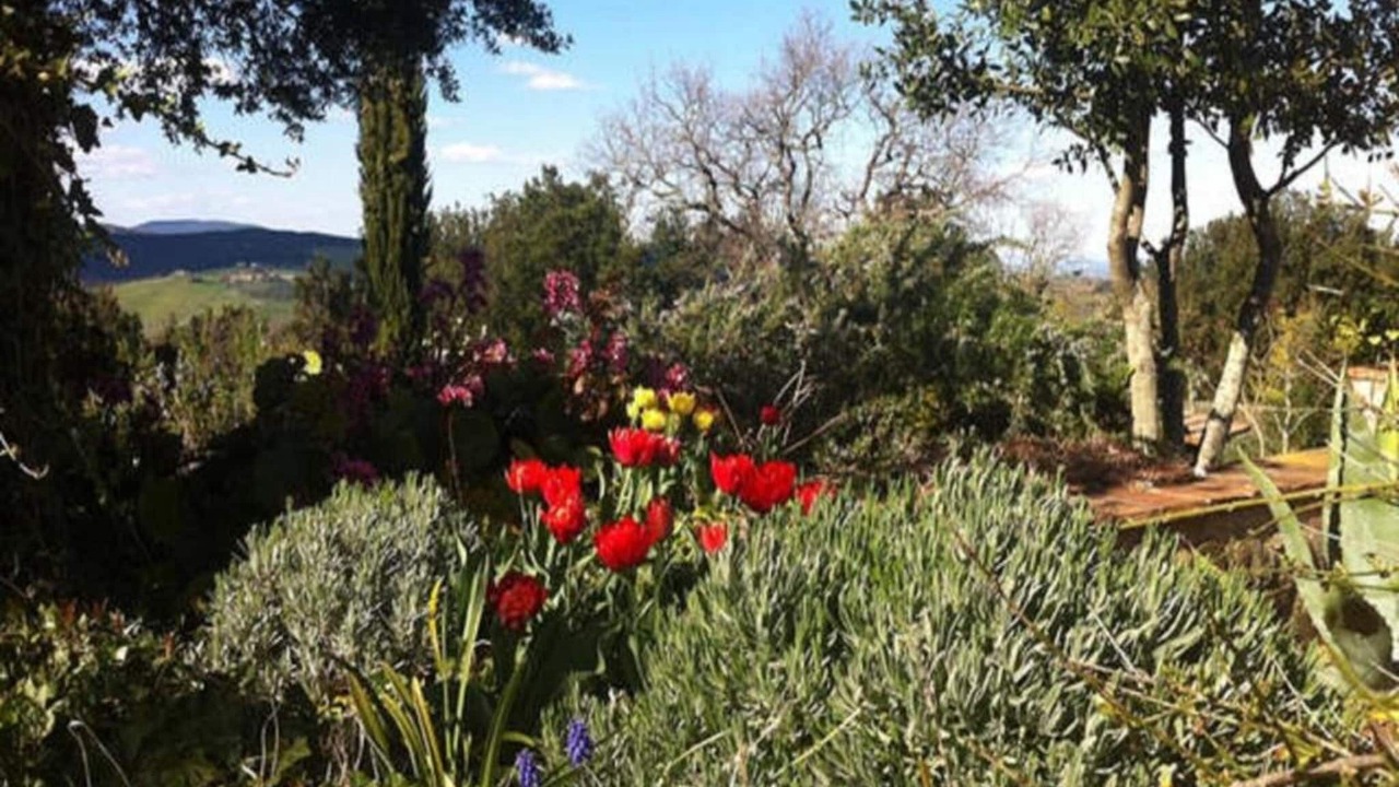 Photo of Others in Casole d'Elsa