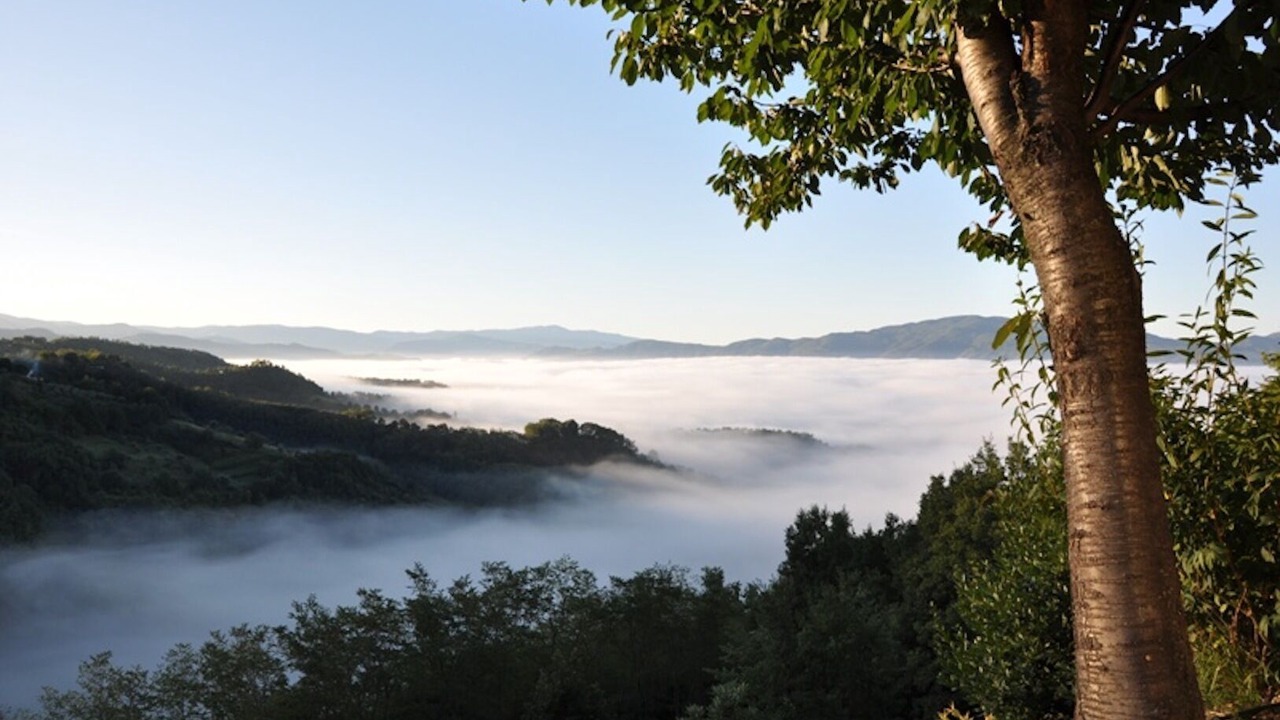 Photo of Outdoor in Gattaia