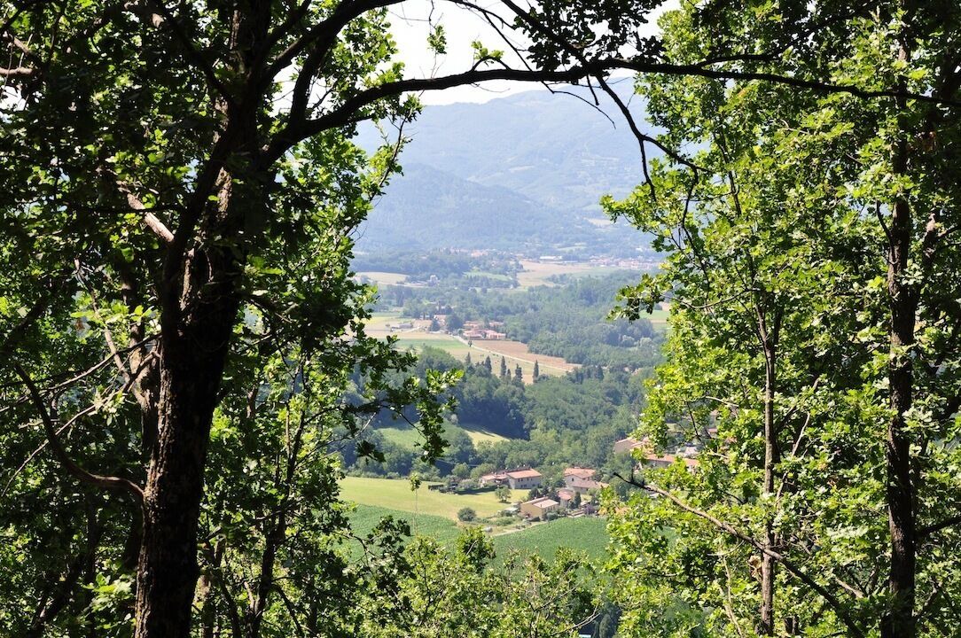 Photo of Others in Gattaia