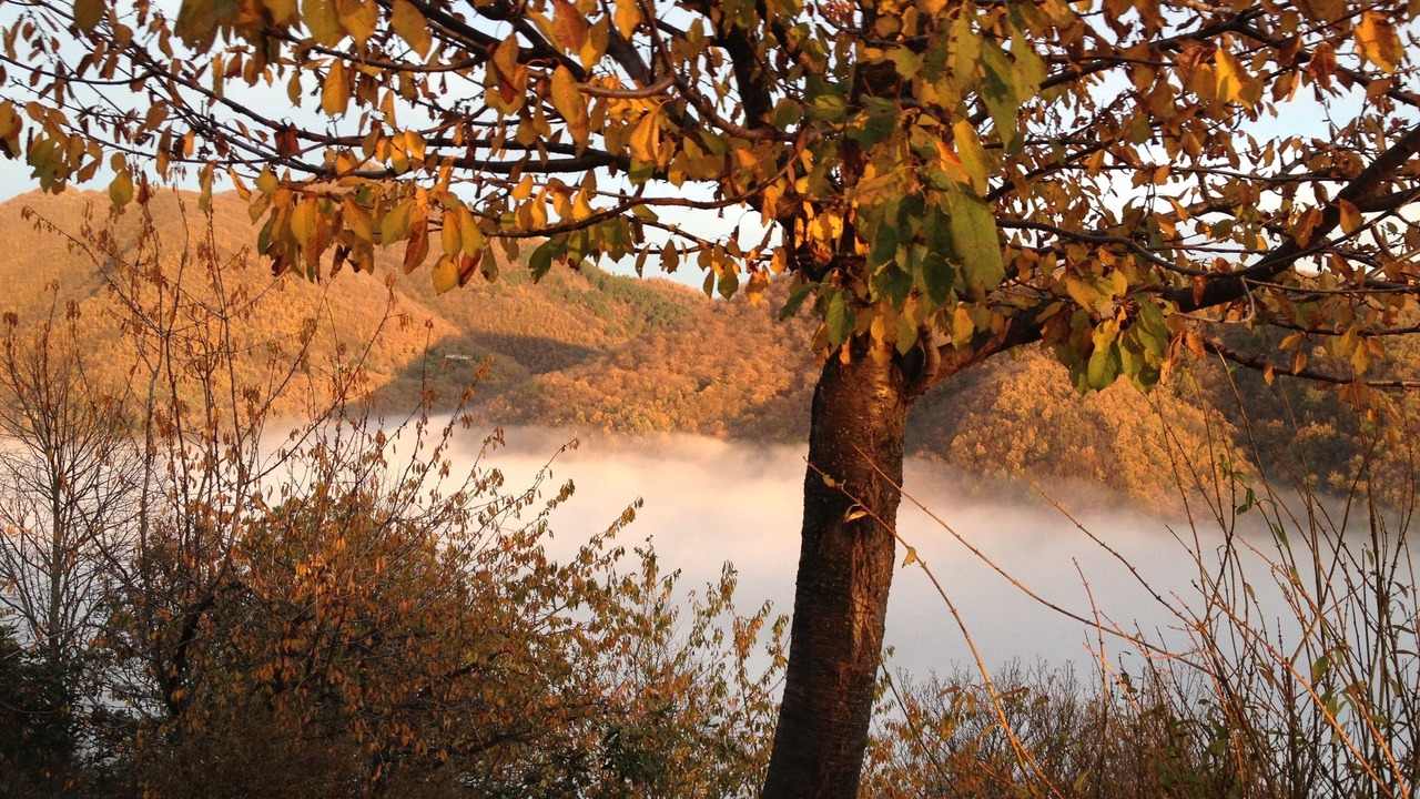 Photo of Outdoor in Gattaia