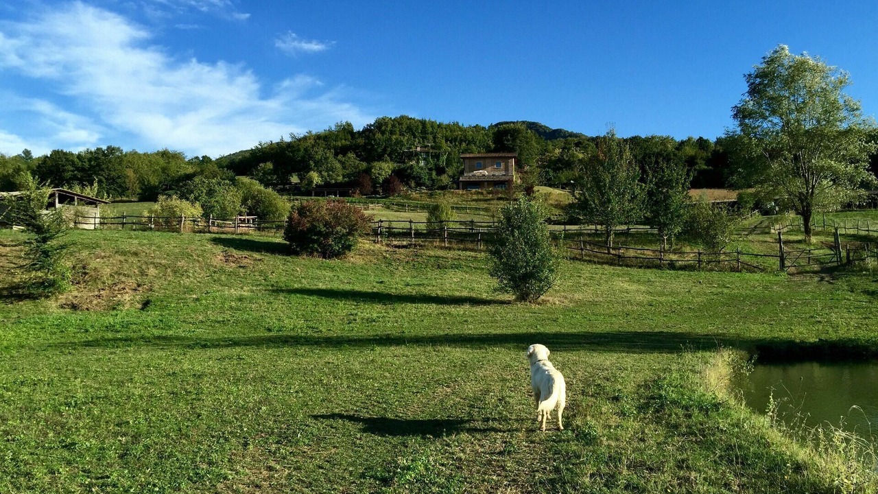 Photo of Others in Lugagnano Val D'Arda