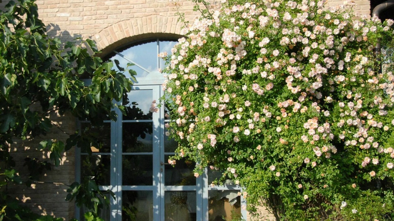 Photo of Outdoor in Lugagnano Val D'Arda
