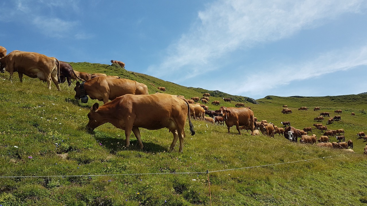 Photo of Others in Hauteluce