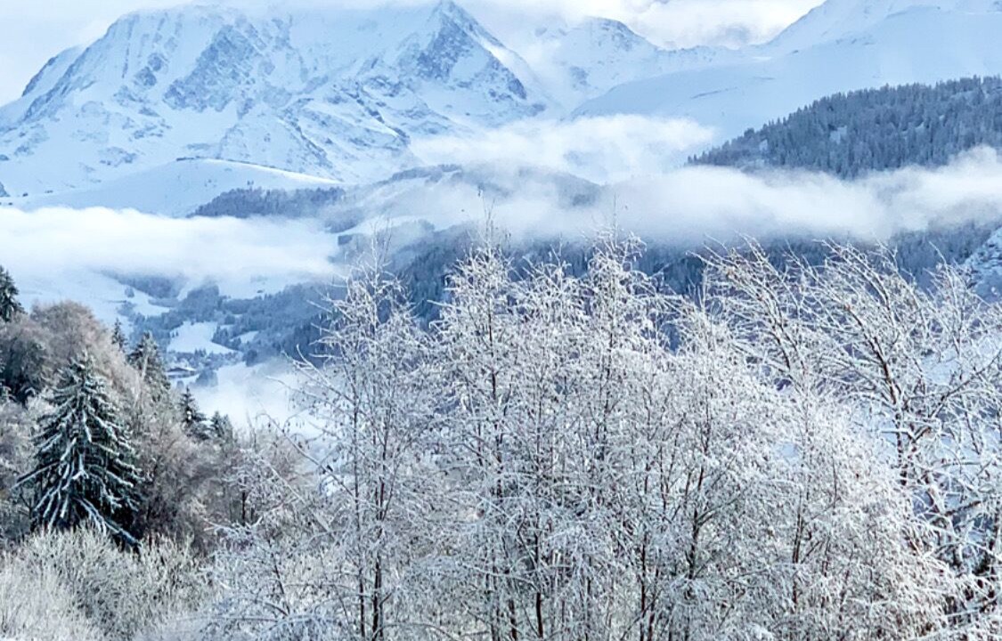 Photo of Others in Praz-sur-Arly