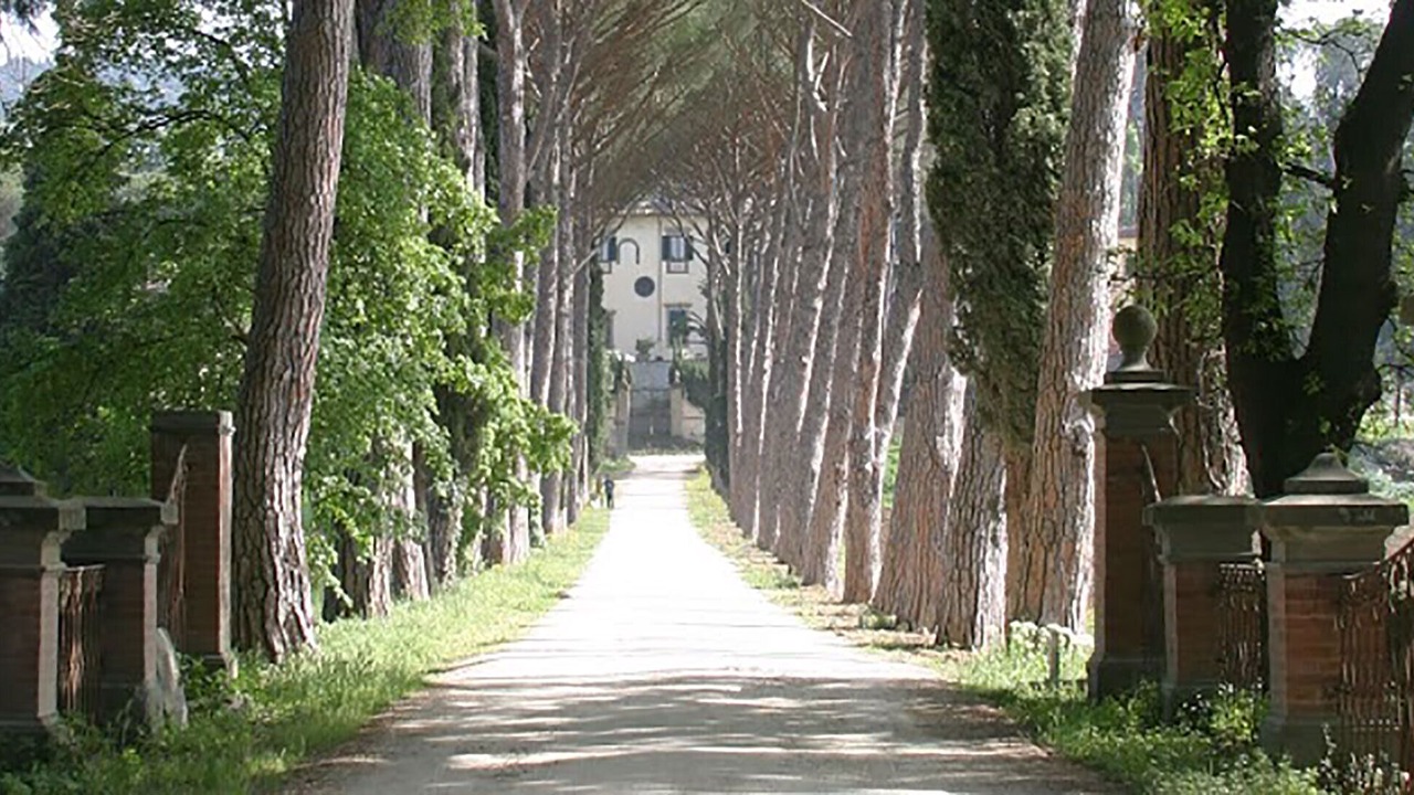 Photo of Outdoor in Florence